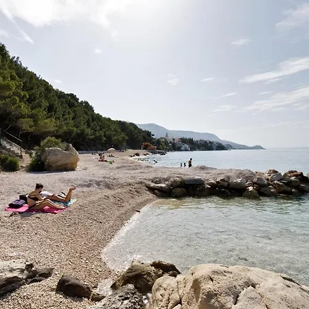 Apartman Ark